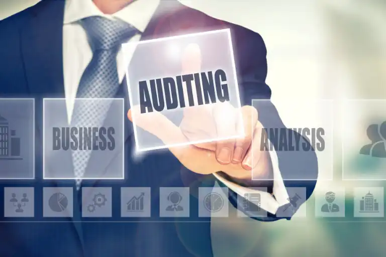 Capital Audit